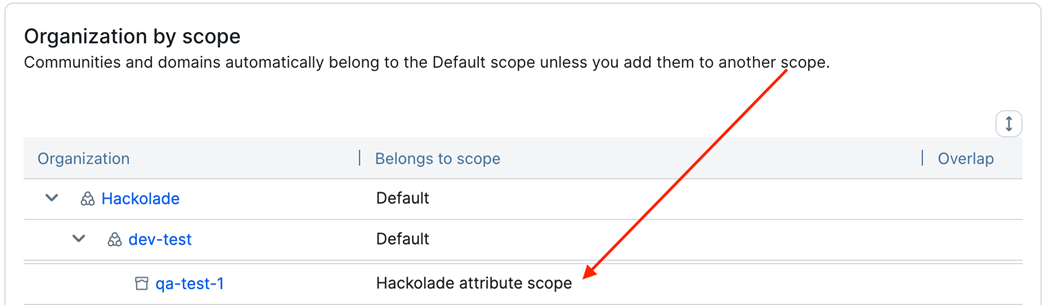 Collibra org by scope assignment
