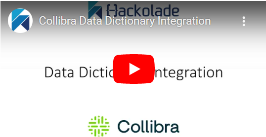 Collibra Data Dictionary Integration